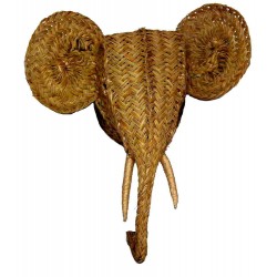 tête d'éléphant d'afrique