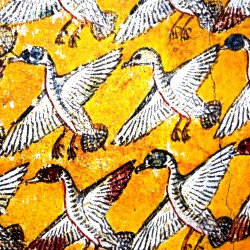 Vol de canards, fresque...