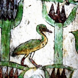 Canard sur nénuphars...