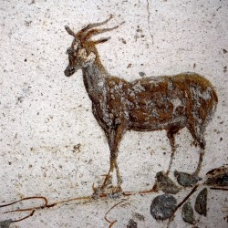 Chèvre étrusque